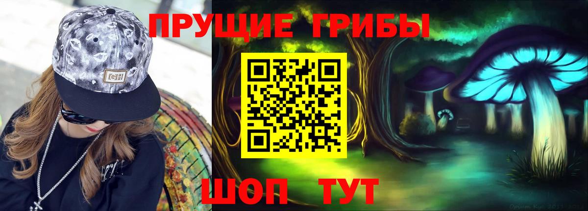 Псилоцибиновые грибы Psilocybine cubensis Вичуга