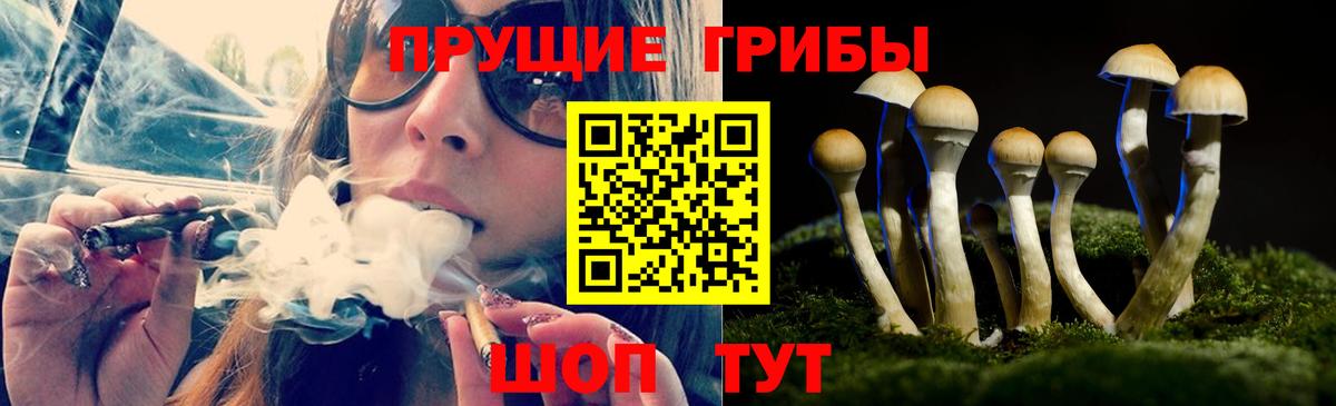 Галлюциногенные грибы Magic Shrooms  Вход с VPN  Вичуга 